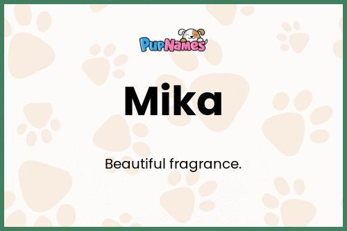 Mika dog name meaning