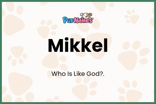 Mikkel dog name meaning