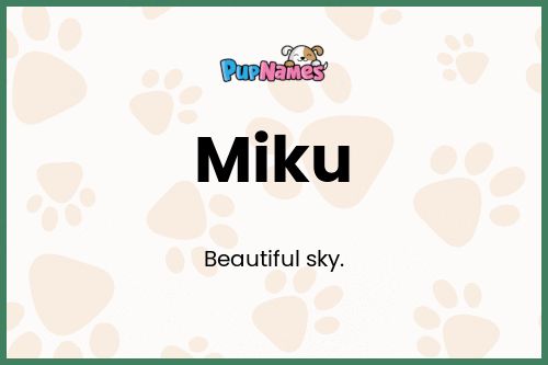 Miku dog name meaning