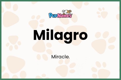 Milagro dog name meaning