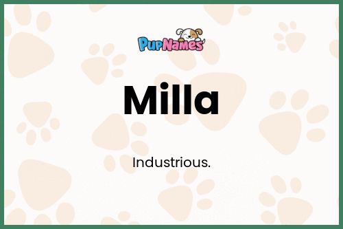 Milla dog name meaning