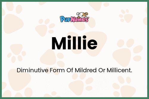 what dies the name millie mean dog name