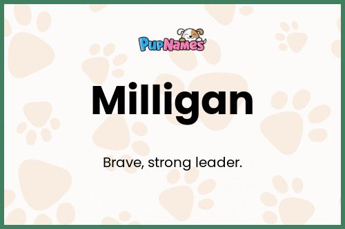 Milligan dog name meaning