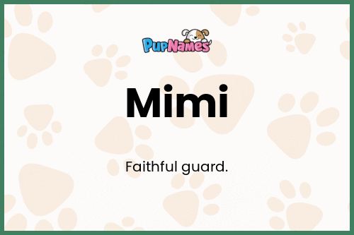 Mimi dog name meaning