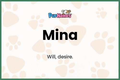 Mina dog name meaning