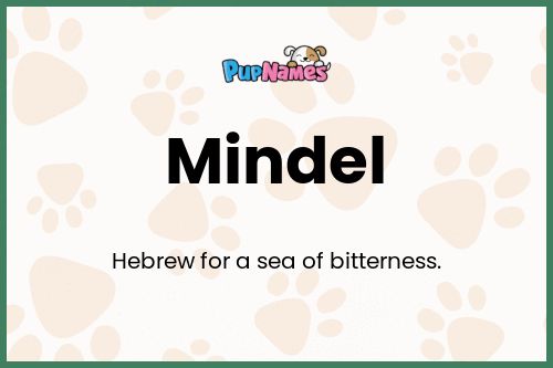 Mindel dog name meaning