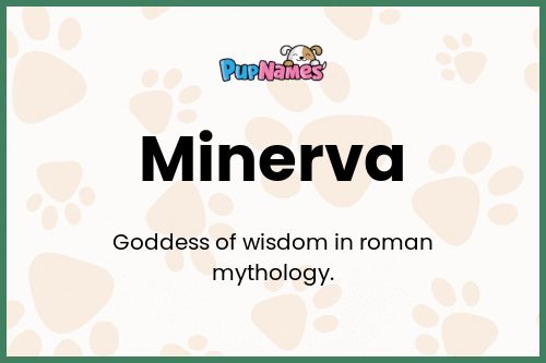 Minerva dog name meaning