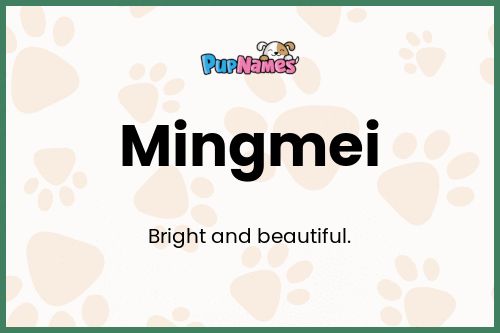 Mingmei dog name meaning