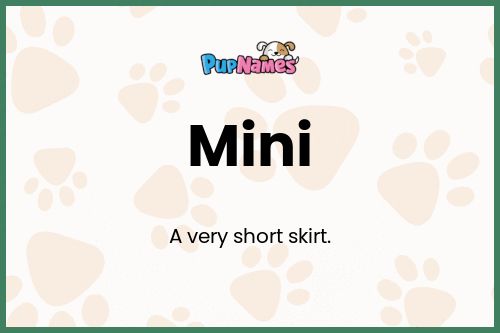 Mini dog name meaning