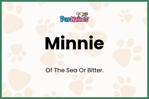 Minnie dog name meaning