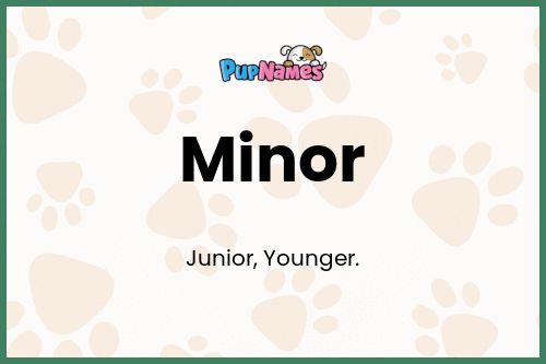 Minor dog name meaning