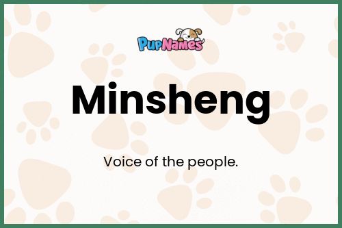 Minsheng dog name meaning