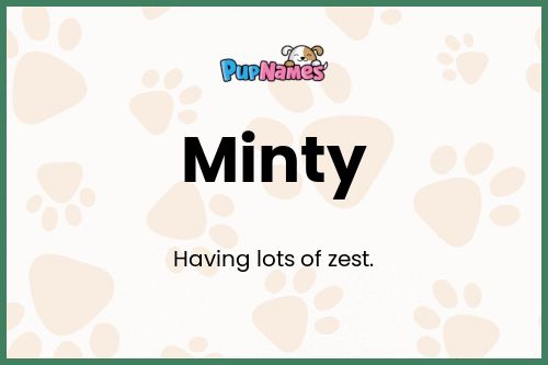 Minty dog name meaning