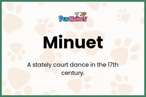 Minuet dog name meaning