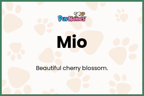 Mio dog name meaning