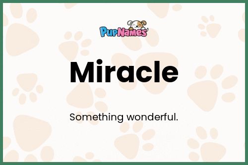 Miracle dog name meaning