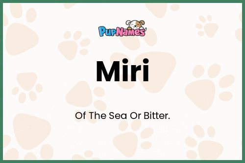 Miri dog name meaning