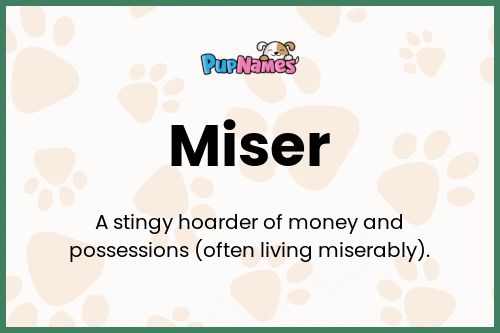 Miser dog name meaning