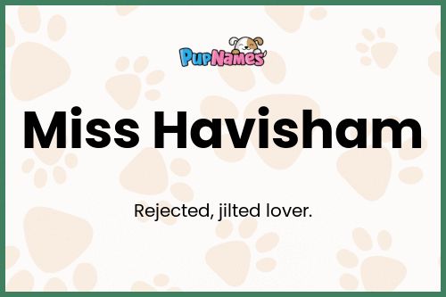 Miss Havisham dog name meaning