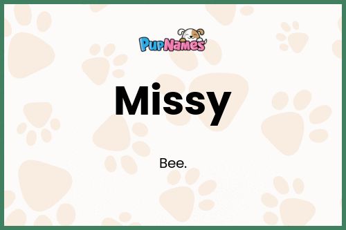 Missy dog name meaning
