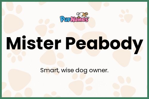 Mister Peabody dog name meaning