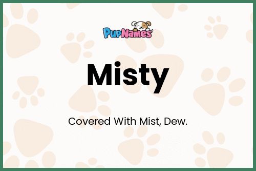 Misty dog name meaning