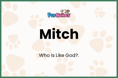 Mitch dog name meaning