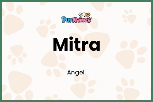 Mitra dog name meaning