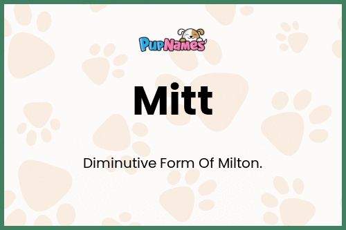 Mitt dog name meaning