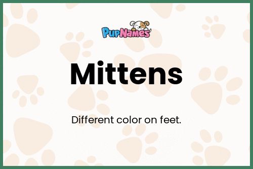 Mittens dog name meaning