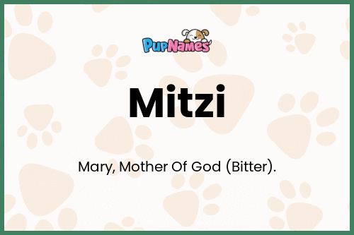 Mitzi dog name meaning