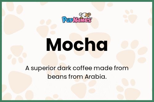 Mocha dog name meaning