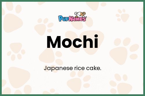 Mochi dog name meaning