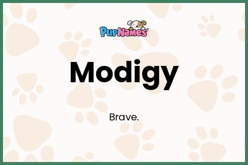 Modigy dog name meaning