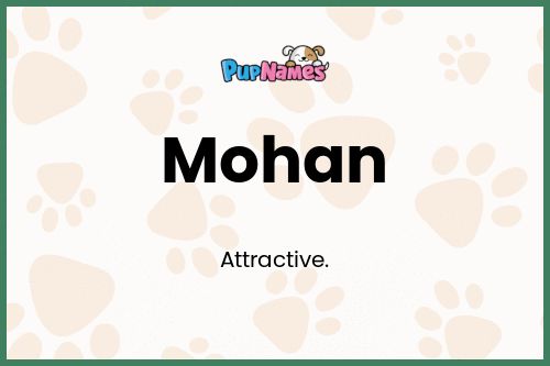 Mohan dog name meaning