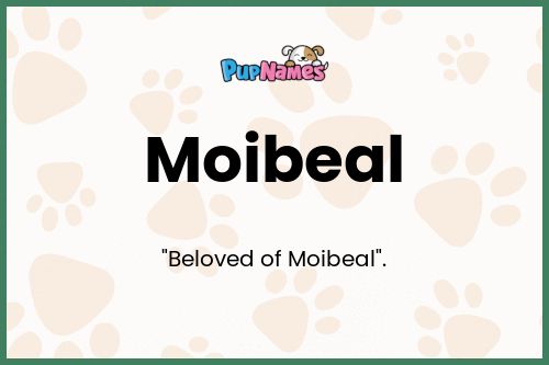 Moibeal dog name meaning