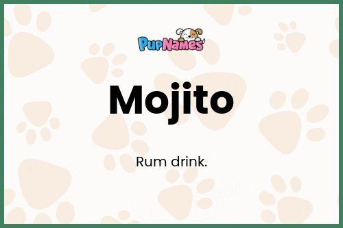 Mojito dog name meaning