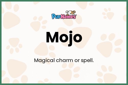 Mojo dog name meaning