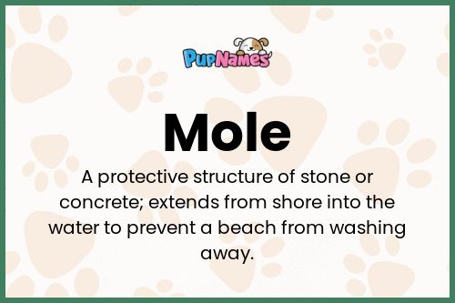 Mole dog name meaning