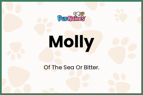 Molly dog name meaning