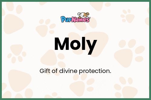 Moly dog name meaning