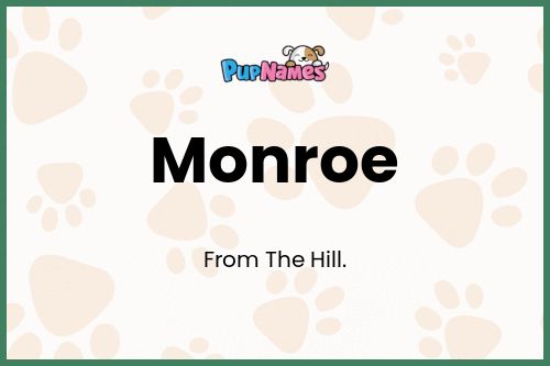 Monroe dog name meaning