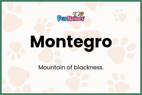 Montegro dog name meaning