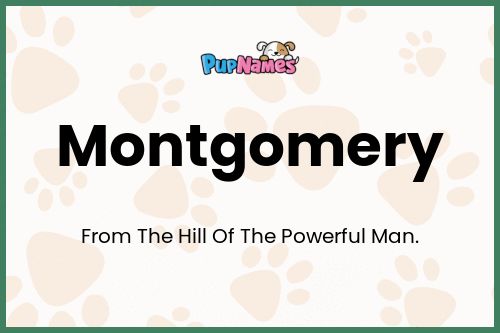 Montgomery dog name meaning