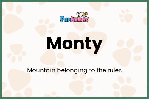 Monty dog name meaning