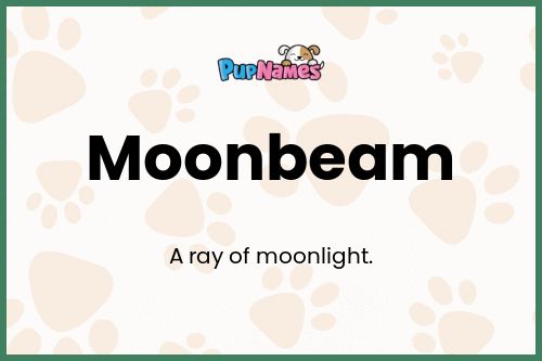 Moonbeam dog name meaning