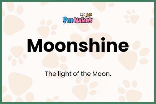 Moonshine dog name meaning