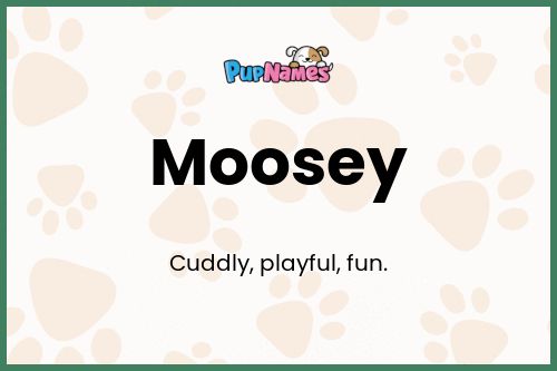 Moosey dog name meaning