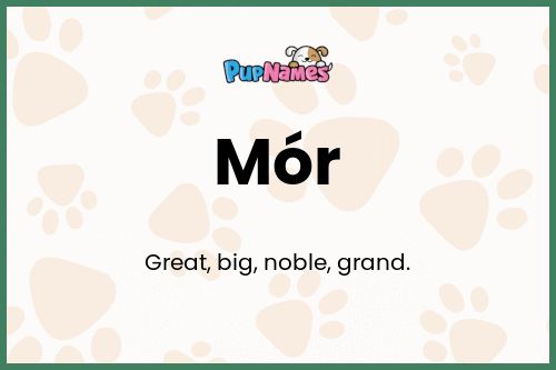 Mór dog name meaning