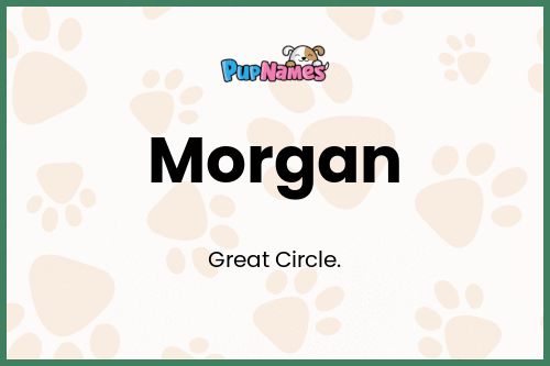 Morgan dog name meaning